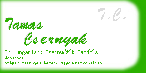 tamas csernyak business card